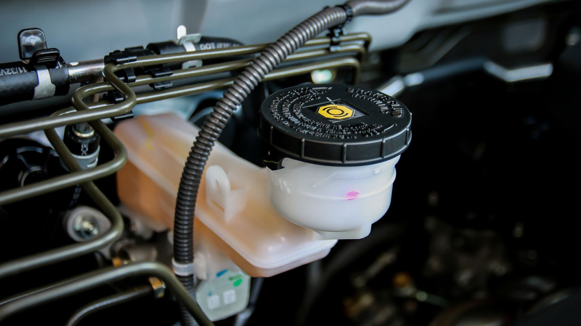 Brake Fluid Change Cost—how much does it cost to change brake fluid